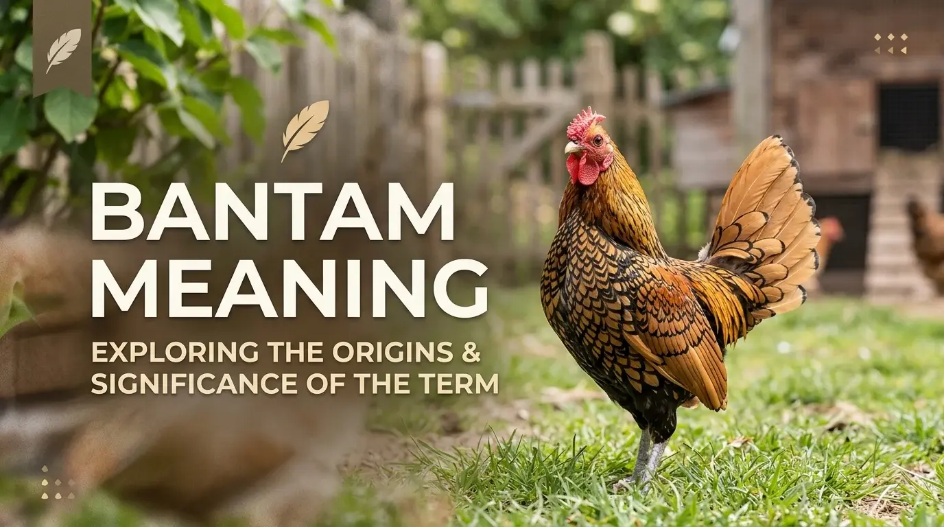 Bantam meaning